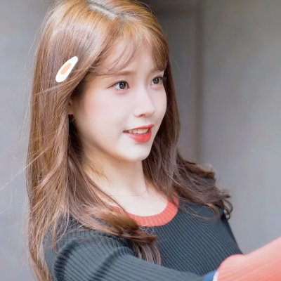 凤舞龙翔